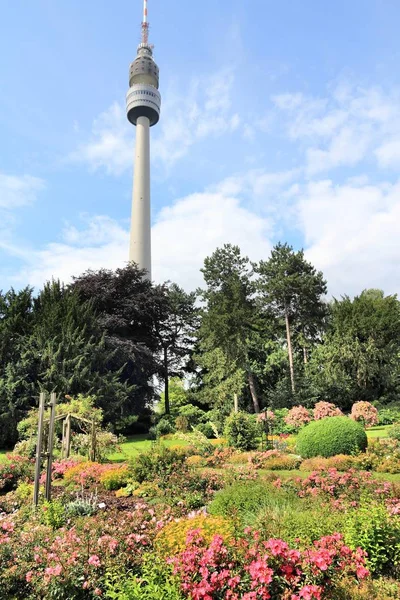 Dortmund Allemagne Jardin Roses Westfalenpark — Photo