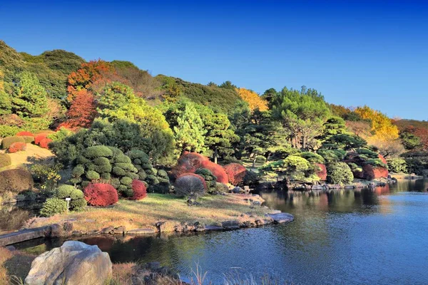 Koishikawa Botanischer Garten Bunkyo Tokio Japan Herbst Laub Ansicht — Stockfoto