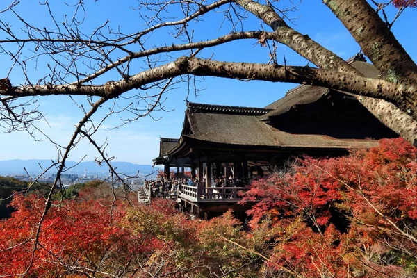 Kyoto Japan November 2016 Folk Besøger Kiyomizu Dera Templet Kyoto - Stock-foto