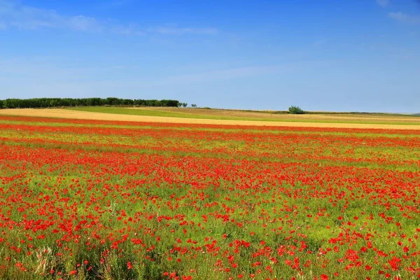 Italia bellissimo paesaggio — Foto Stock