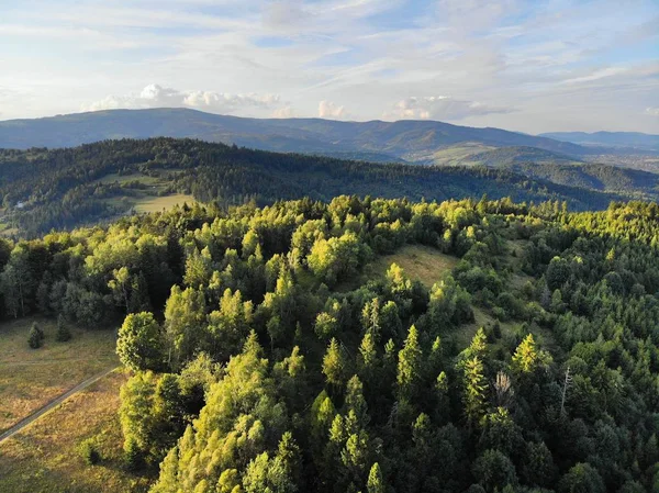 Forests of Beskids, Poland — Stock Photo, Image