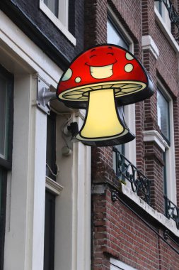 Amsterdam 'da psikodelik mantarlar