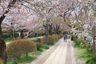 Kyoto Filozofları Yürüyüşü