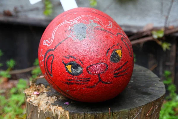 Onomichi chat en pierre — Photo