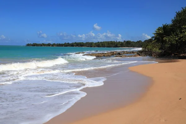 Playa de Clugny, Guadalupe — Foto de Stock