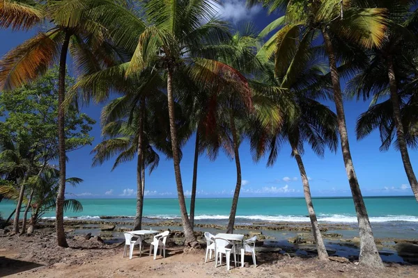 Naturlandskap Guadeloupe — Stockfoto