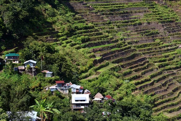 Filipinas terrazas de arroz —  Fotos de Stock