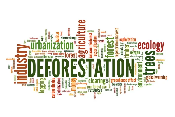 Deforestation word cloud — Stock Photo, Image