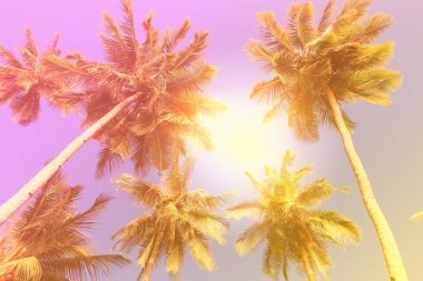 Klasik palmiye ağaçları arkaplanı