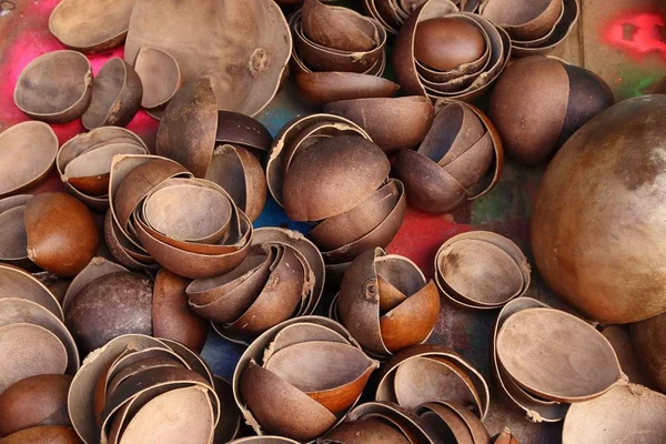 Calabash shells — 스톡 사진