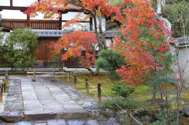 Arashiyama 'da sonbahar