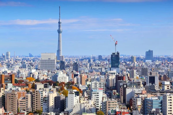 Tokyo city landmarks — Stock Photo, Image