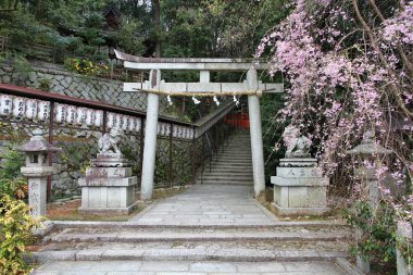 Kyoto Hachi Tapınağı