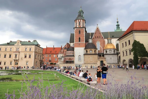 Wawel Cracovie — Photo