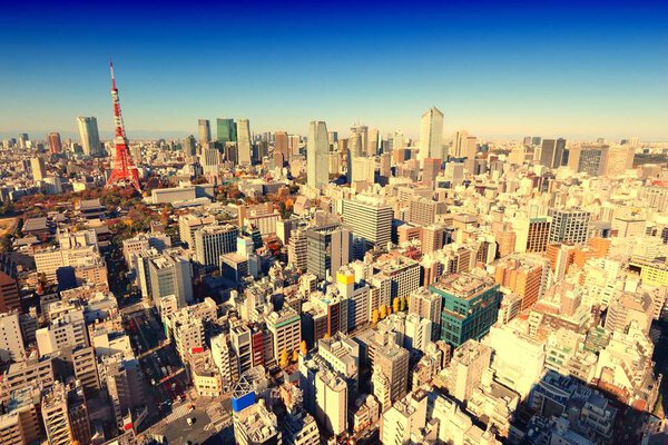 Tokyo skyline - big city view in Japan.