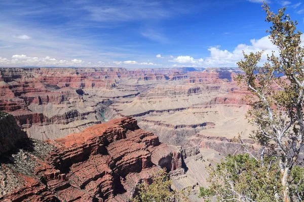 Hopi Sicht Grand Canyon Nationalpark Arizona Vereinigte Staaten — Stockfoto