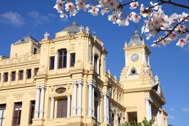 Malaga, Endülüs, İspanya. Eski tarz belediye binası. Bahar zamanı kiraz çiçekleri.