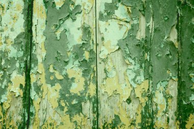 Klasik grunge arkaplanı. Yeşil kabuklu Grunge deseni.