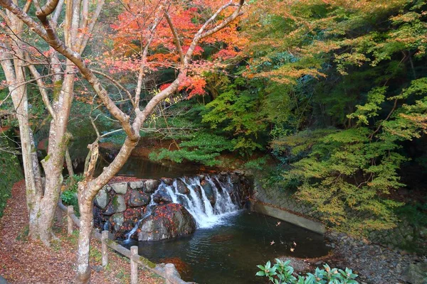 Feuillage Automne Minoo Près Osaka Japon — Photo