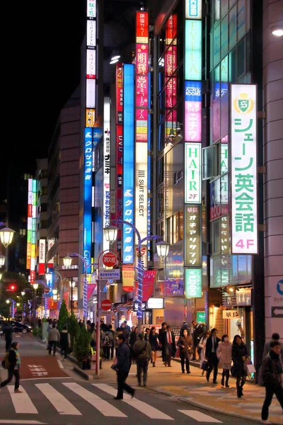 日本东京 2016年11月29日 人们在晚上访问东京市池室区 东京是日本的首都 780万人居住在市区 — 图库照片