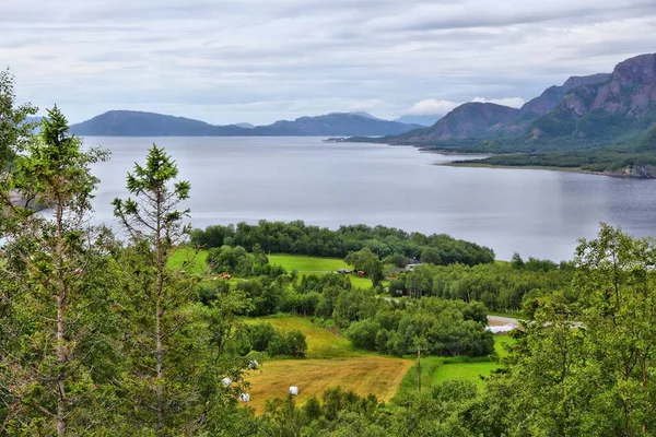 Norge Regnigt Landskap Bindalsfjorden Ford Och Landsbygd Nordland — Stockfoto