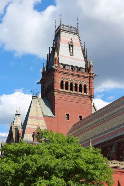 Harvard University Memorial Hall Cambridge Massachusetts United States — Stock Photo, Image