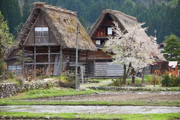Village Shirakawa Japon Village Historique Avec Des Maisons Bois Des — Photo