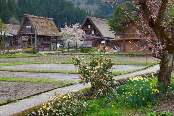 Shirakawa Falu Japán Tájkép Falu Faházakkal Nádtetőkkel Unesco Telephelyeként Felsorolva — Stock Fotó