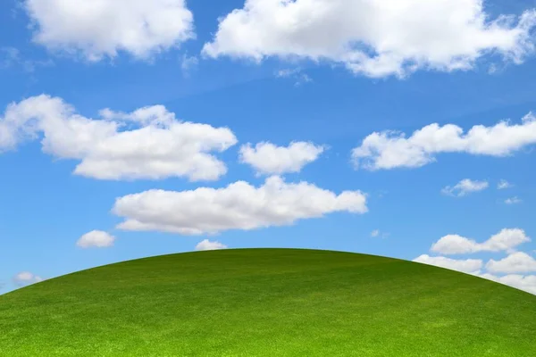 Green earth and blue sky picture with copyspace.
