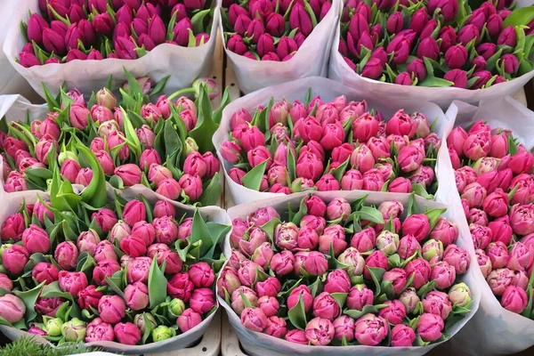 Amsterdam Lale Çiçekleri Çiçek Pazarında — Stok fotoğraf