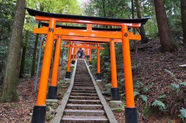 KYOTO, JAPONYA - 28 Kasım 2016: Kyoto, Japonya 'daki Fushimi Inari Taisha tapınağının Torii kapıları. Fushimi Inari 'de 10,000' den fazla tori kapısı var..