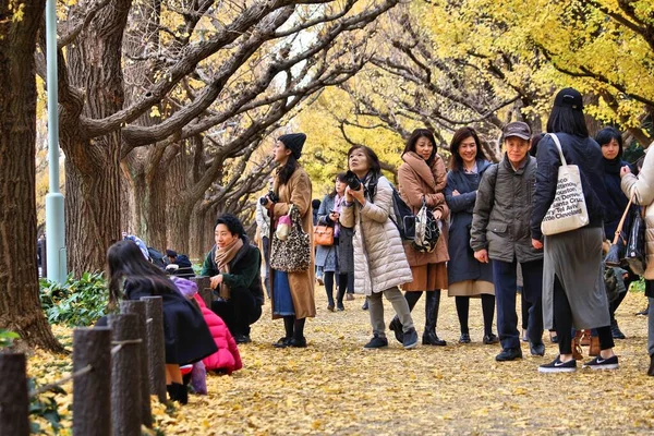 Tokyo Japan November 2016 Mensen Vieren Ginkgo Avenue Herfstblad Tokio — Stockfoto