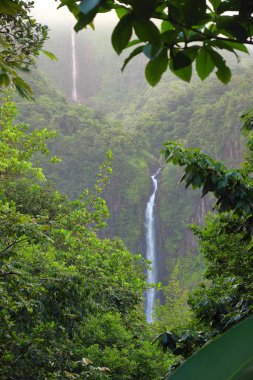 Guadeloupe Karayip adasında şelale. Carbet parkı, Guadeloupe Ulusal Parkı 'nda şelale..