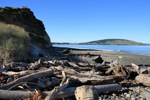 Gemstone Beach Paesaggio Vicino Orepuki Southland Nuova Zelanda — Foto Stock