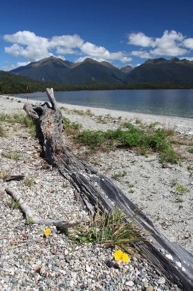 Nature Néo Zélandaise Lac Manapouri Dans Région Southland Fiordland — Photo