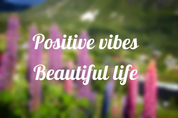 Positieve Vibraties Prachtig Leven Motivationele Citaat Poster Succesmotivatie — Stockfoto