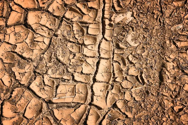 Gedroogde Gebarsten Aarde Tropische Klimaat Bodem Textuur Droogteconcept — Stockfoto