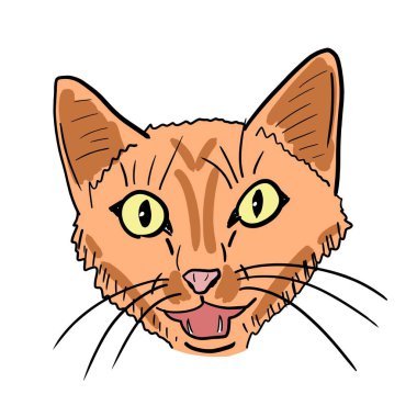 Kedi vektör illüstrasyonunu miyavlıyorum. El yapımı kızıl kedi yüzlü..
