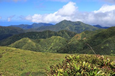Guadeloupe 'daki Volcano La Soufriere Dağı manzarası. Doğal dönüm noktası aktif volkan.