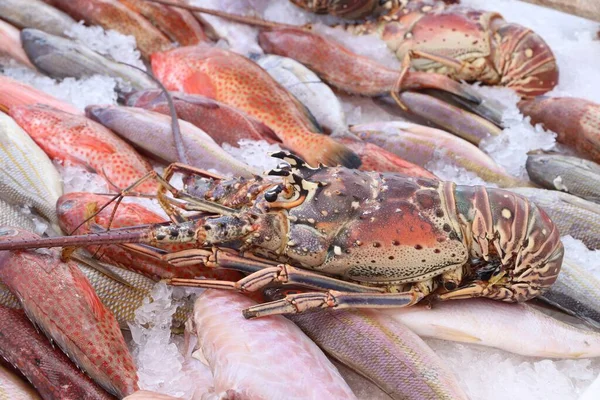 グアドループ最大の都市ポワント ピトルのグアドループ魚市場でのラングウステ 別名スピニングロブスター — ストック写真