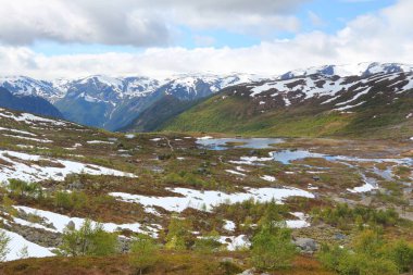 Norveç yürüyüş alanı - Hordaland 'da bataklık ve bataklık, Trolltunga yolunun yanında..