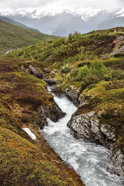 Tundra Bioma Paisaje Noruega Arroyo Montaña Aurlandsfjellet —  Fotos de Stock