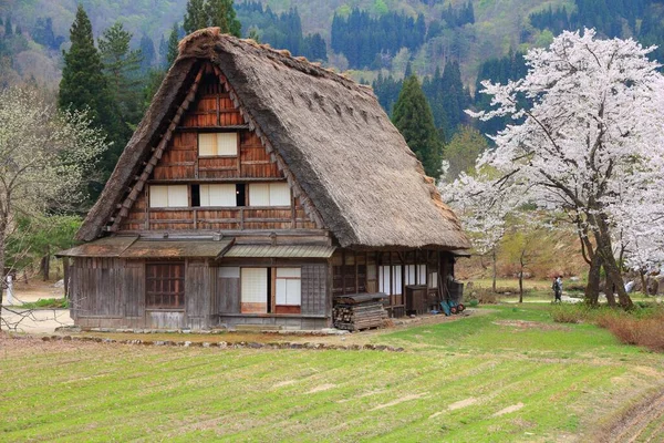 Shirakawa Falu Japán Tájkép Falu Faházakkal Nádtetőkkel Unesco Telephelyeként Felsorolva — Stock Fotó