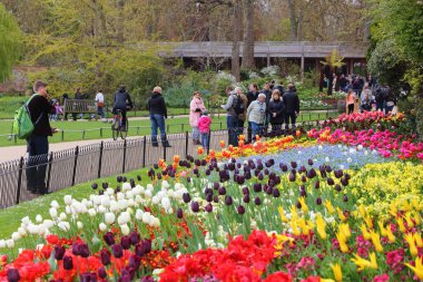 LONDON, İngiltere - 23 Nisan 2016: İnsanlar Londra 'daki St. James' Park 'ı ziyaret ediyor. Londra, 13 milyon nüfusuyla İngiltere 'nin en kalabalık şehridir..