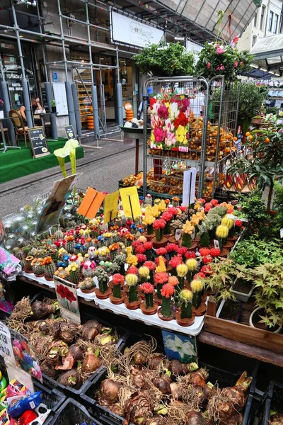 Amsterdam Κατω Χωρεσ Ιουλίου 2017 Κάκτοι Στην Αγορά Λουλουδιών Bloemenmarkt — Φωτογραφία Αρχείου