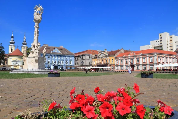 Timisoara Roemenië August 2012 Mensen Bezoeken Het Unirii Plein Timisoara — Stockfoto