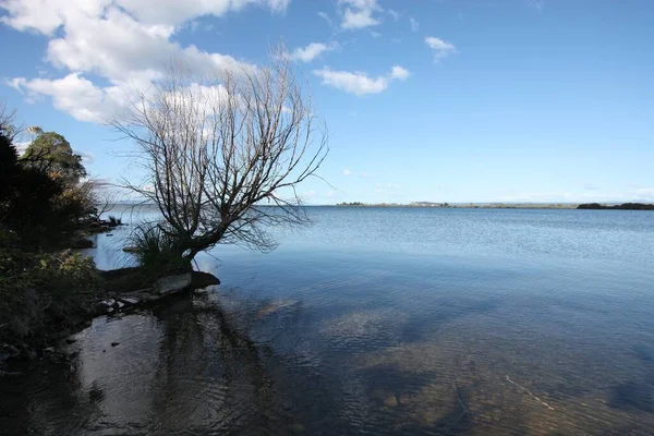 新西兰北岛的陶波湖 怀希风景区 — 图库照片