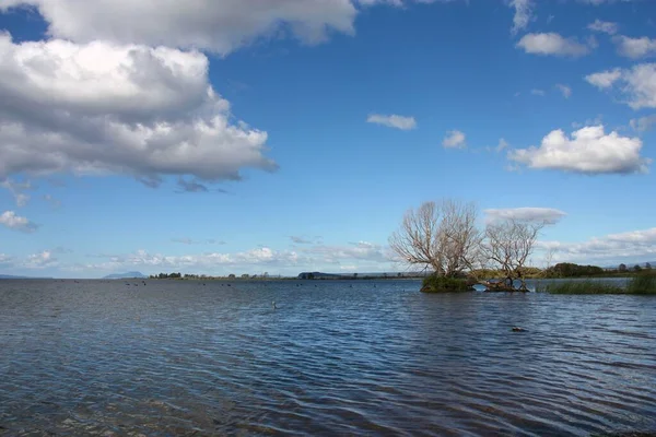 Lago Taupo Nell Isola Del Nord Della Nuova Zelanda Riserva — Foto Stock