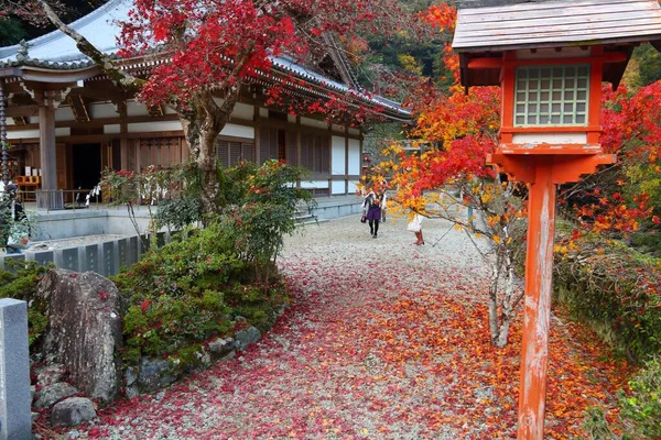 Осінь Парку Міно Поблизу Осаки Японія — стокове фото