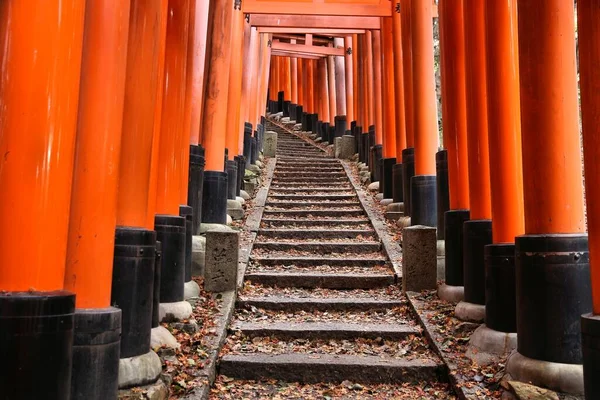 Киео Япония Ноября 2016 Года Тори Открыл Ворота Храма Фусими — стоковое фото